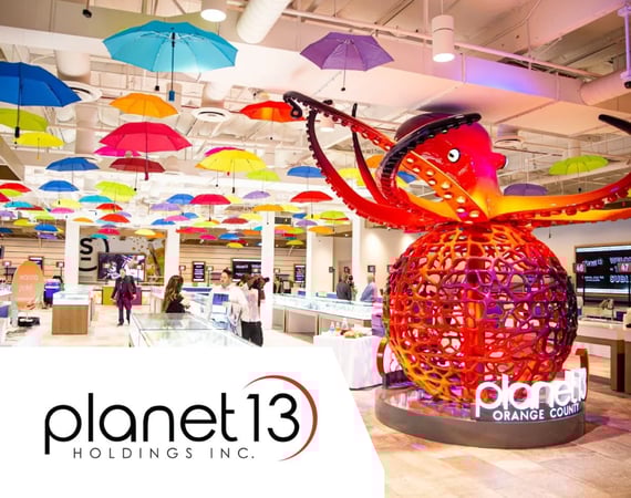 Interior view of the Planet 13 retail store